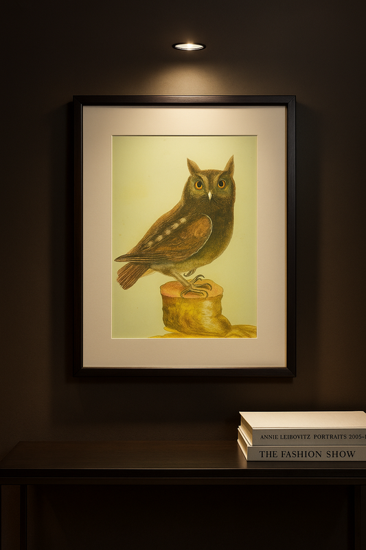 Vintage Nocturne Digital Reprint