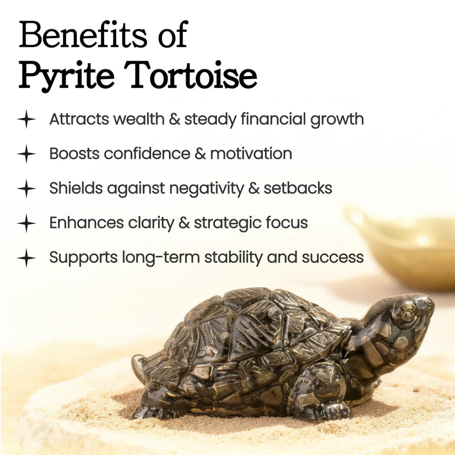 Pyrite Tortoise (Kachhua) for Money, Protection & Vastu